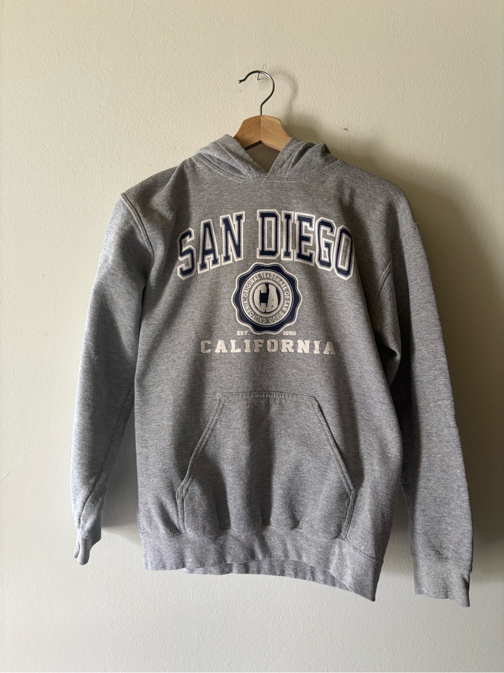 Grey San Diego California Hoodie Sweatshirt